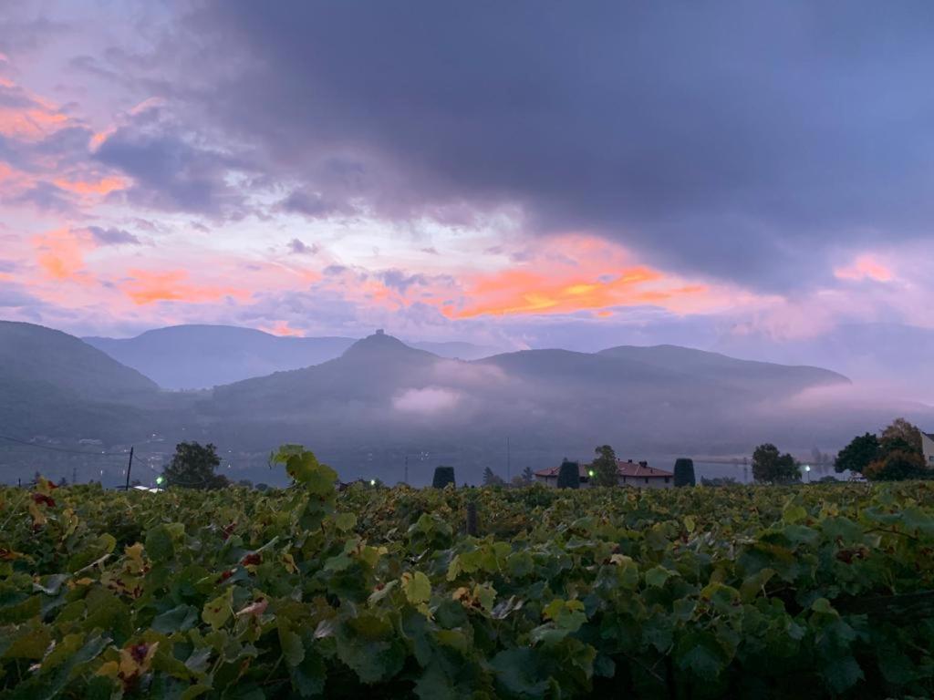 Leuchtenhof Caldaro Dış mekan fotoğraf